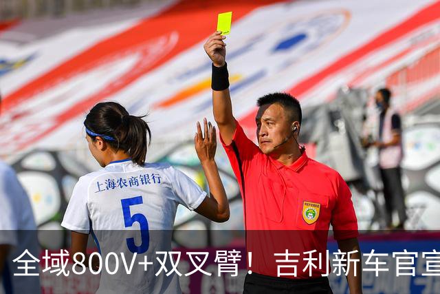 全域800V+双叉臂！吉利新车官宣：正式预售