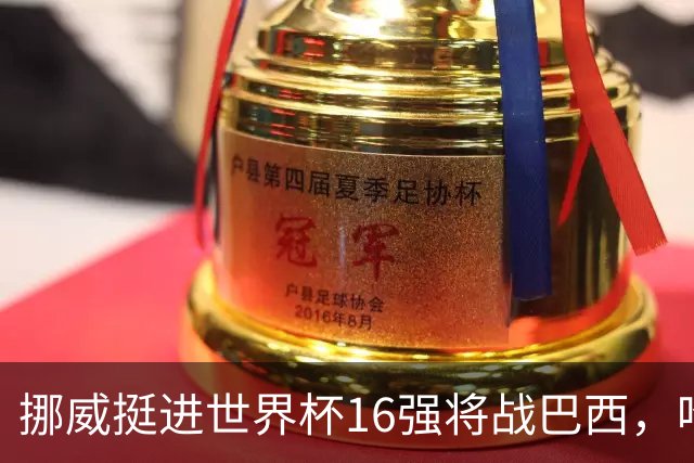 挪威挺进世界杯16强将战巴西，哈兰德发声