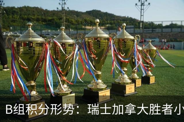 B组积分形势：瑞士加拿大胜者小组第一 平局保携手出线